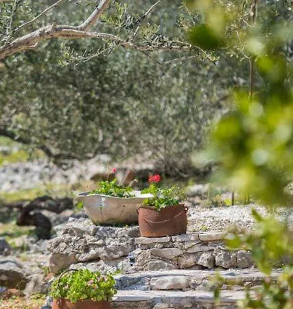 Rogoznicka Oaza 2 Villa *